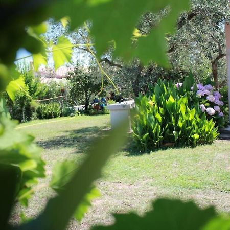 Villa Di Campagna Vicino Al Mare Orosei Εξωτερικό φωτογραφία