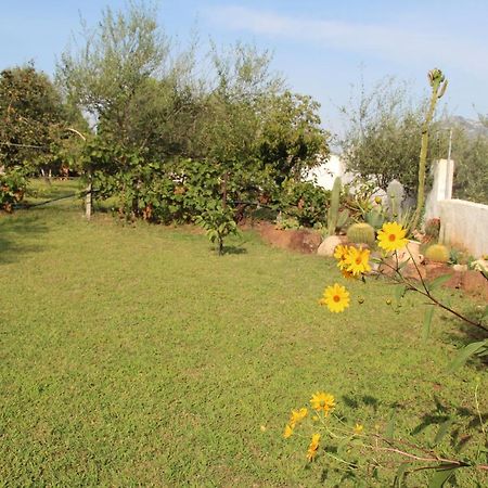 Villa Di Campagna Vicino Al Mare Orosei Εξωτερικό φωτογραφία
