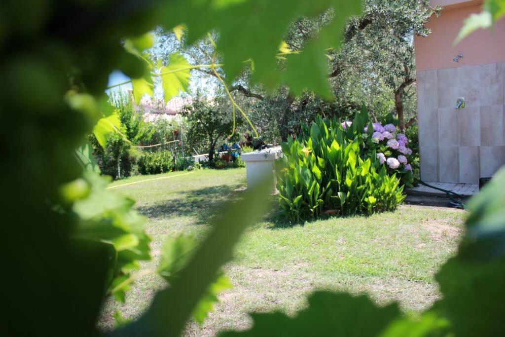 Villa Di Campagna Vicino Al Mare Orosei Εξωτερικό φωτογραφία