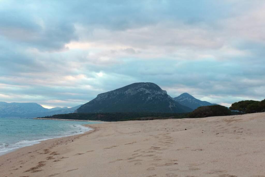 Villa Di Campagna Vicino Al Mare Orosei Εξωτερικό φωτογραφία